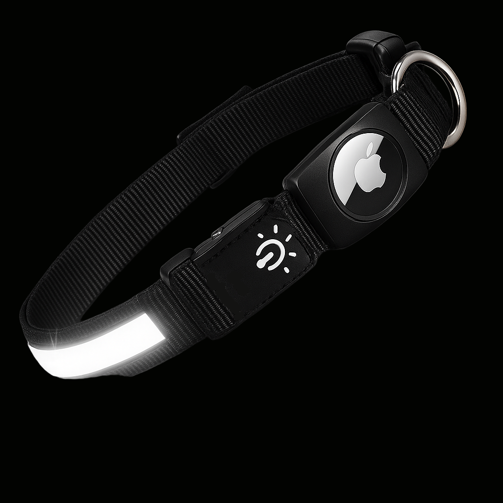 LumiPup Collar