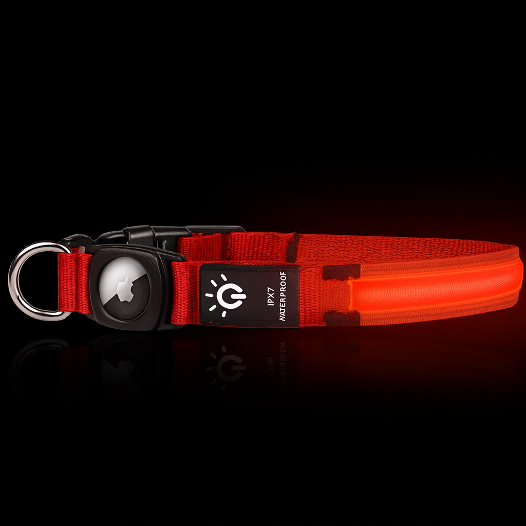 LumiPup Collar